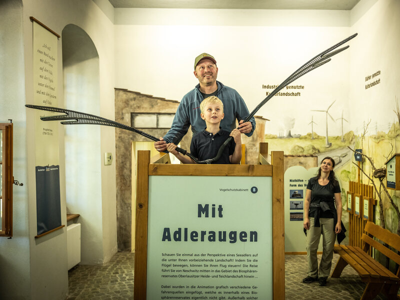 Bird protection pavilion Neschwitz