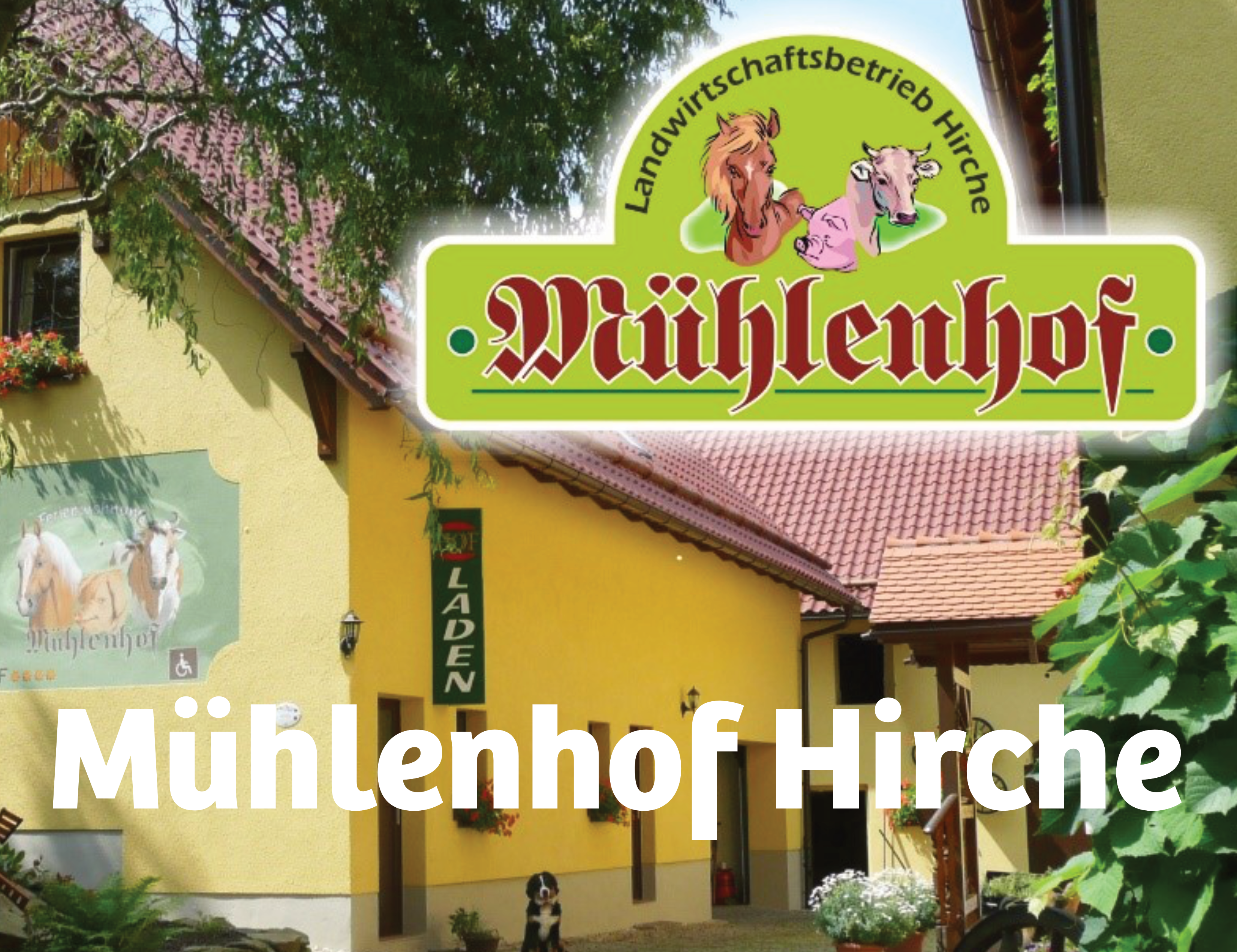 Abbildung Mühlenhof Hirche