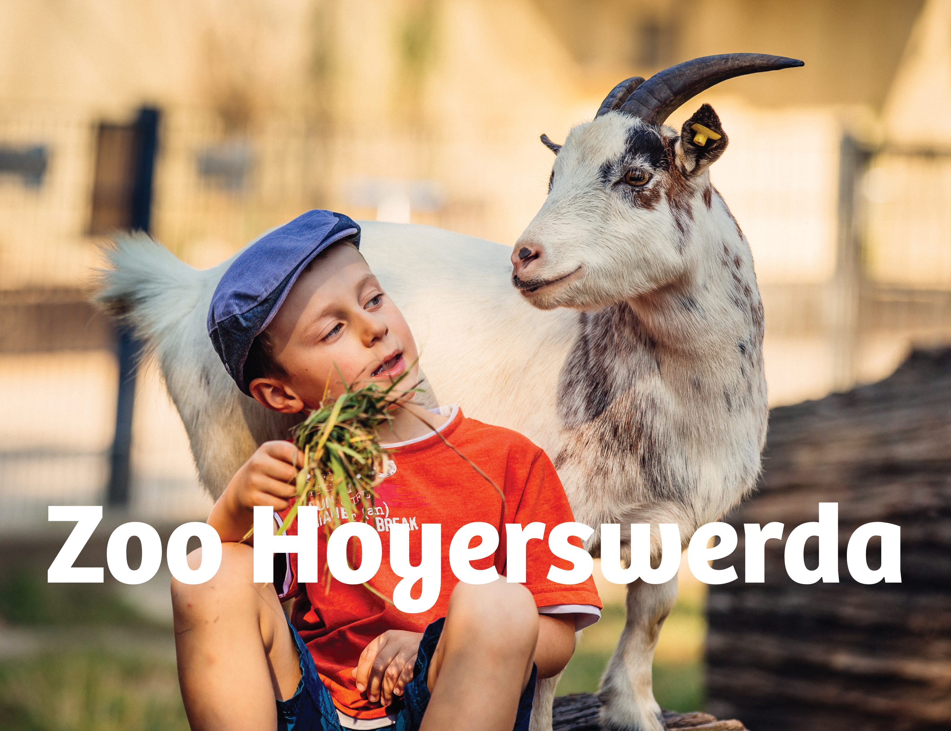 Abbildung Zoo Hoyerswerda