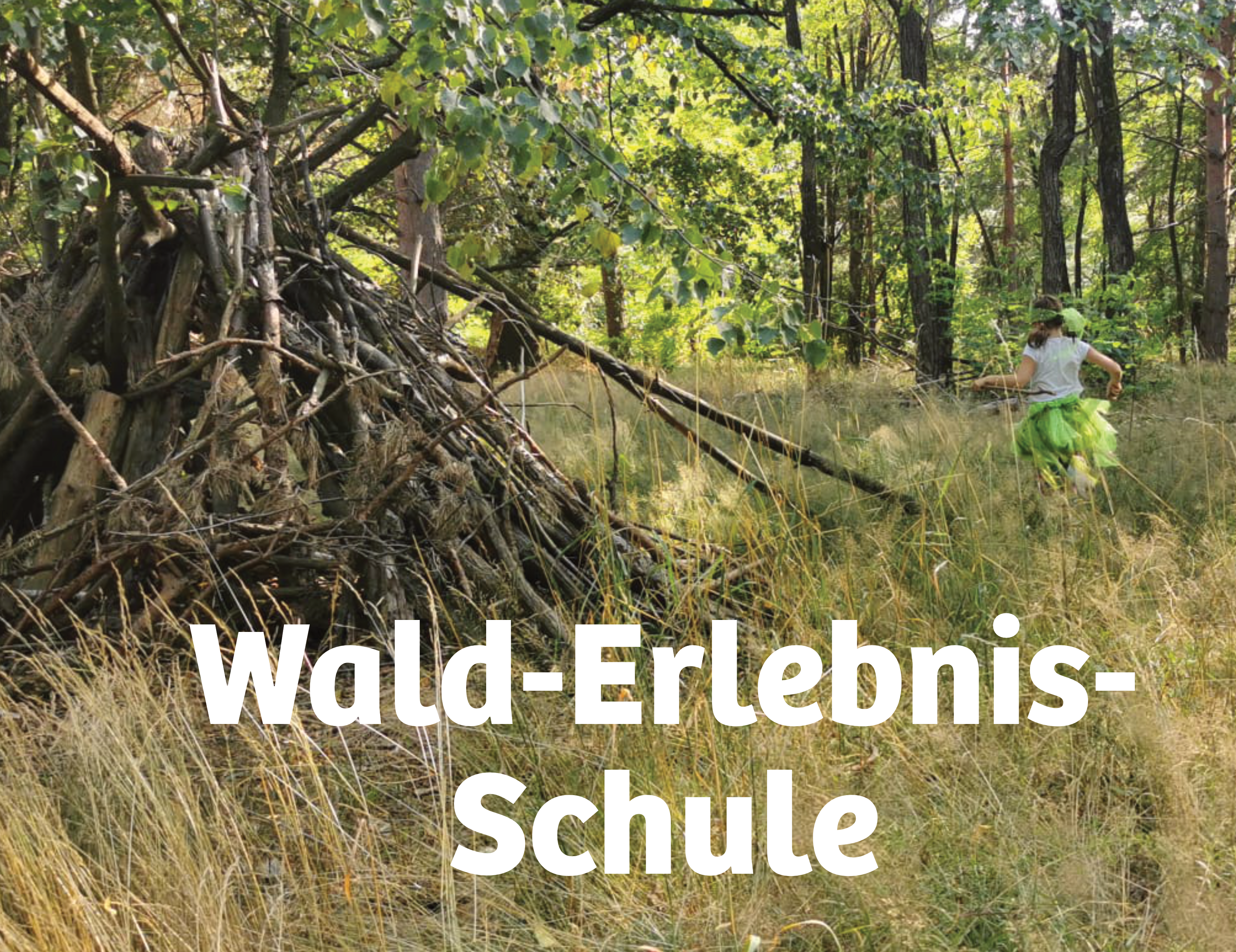 Abbildung Wald Erlebnis Schule