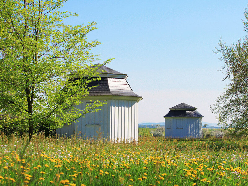 Abbildung Herrnhut Gartenhäuser