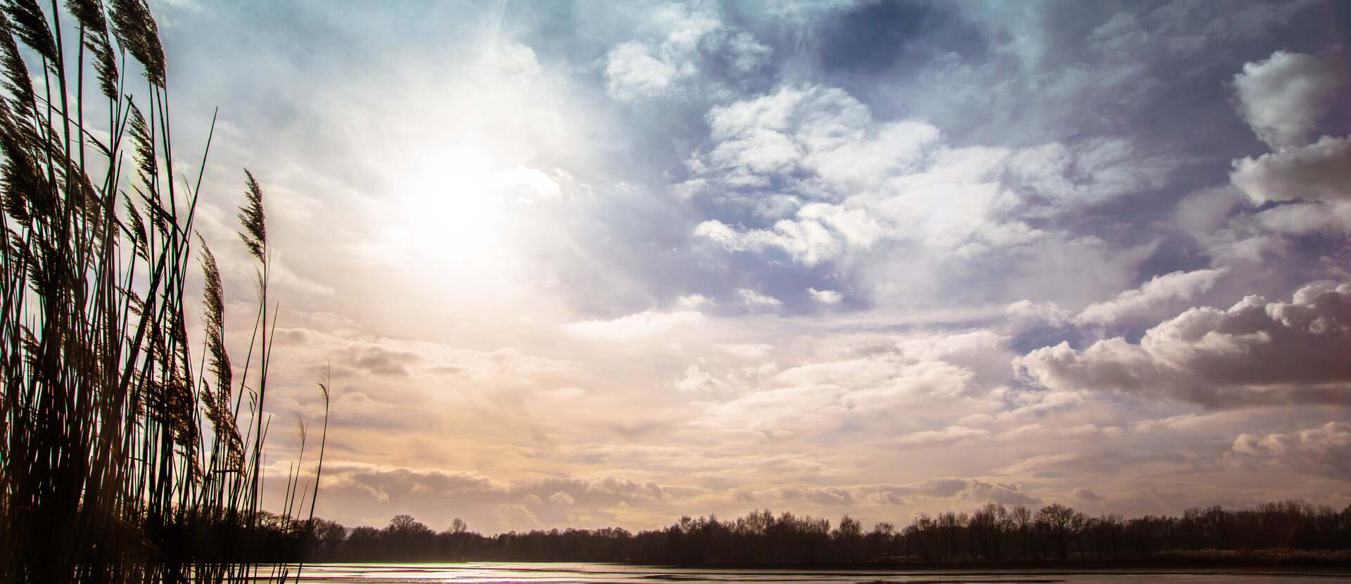 Oberlausitzer Heide- und Teichlandschaft