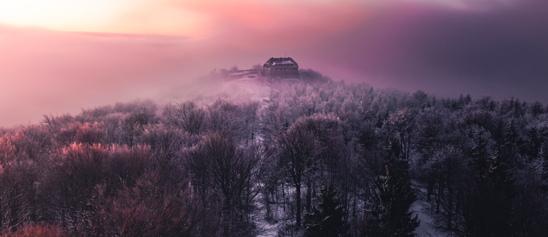 Hochwald im Winter