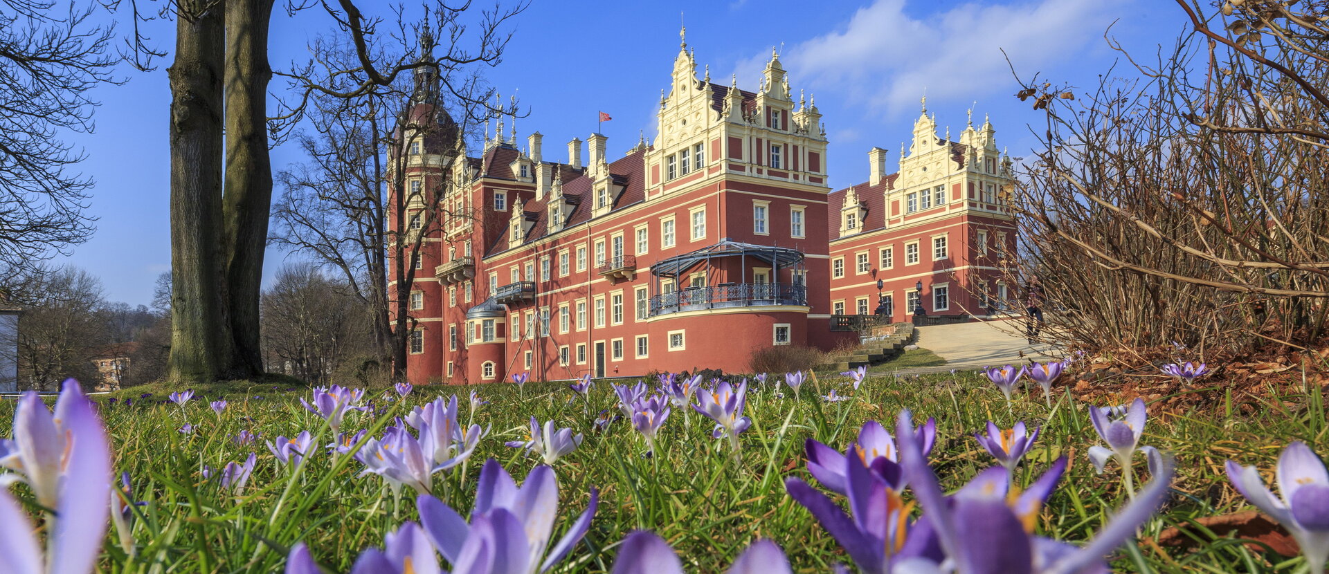 Neues Schloss im Frühling