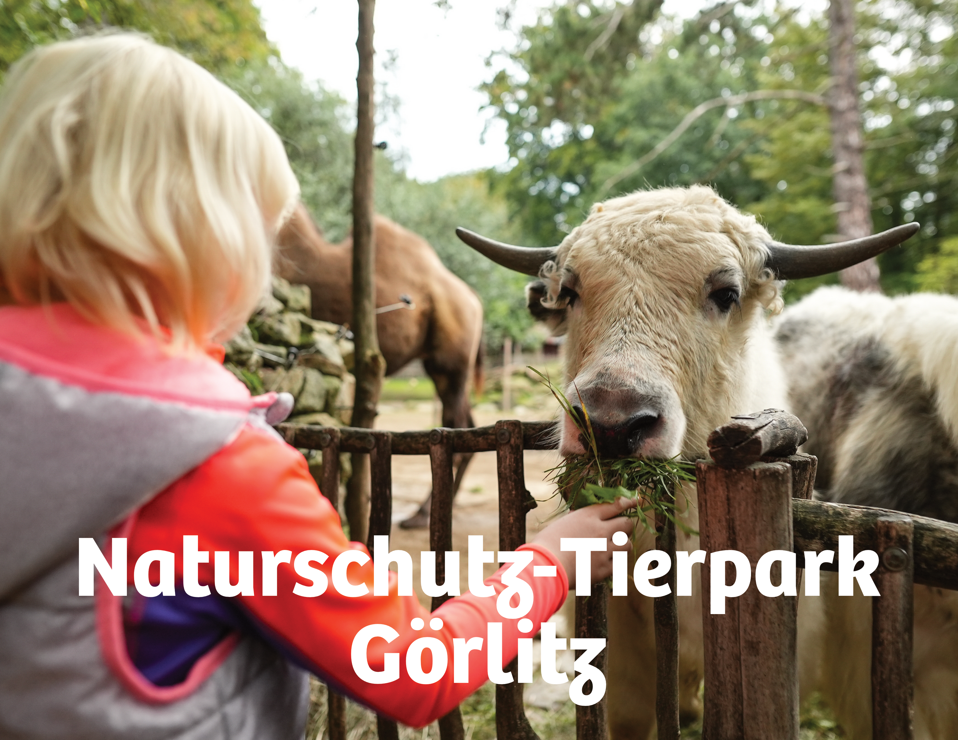 Abbildung Naturschutz Tierpark Goerlitz